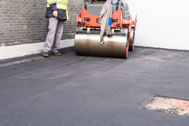 Best Driveway Border and Edging  in Calico Rock, AR